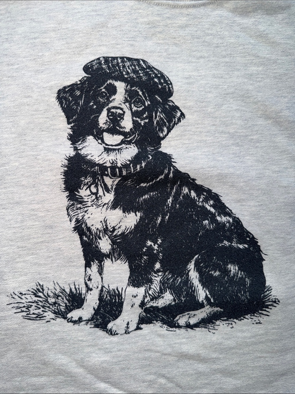Maeve Anthropologie Best In Show Dog Graphic Sweatshirt, size small - Picture 7 of 8